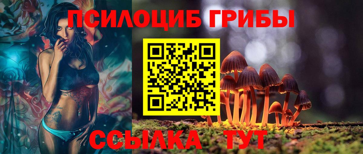 Галлюциногенные грибы ЛСД  Галлюциногенные грибы Psilocybe  Вход с VPN  Заводоуковск 